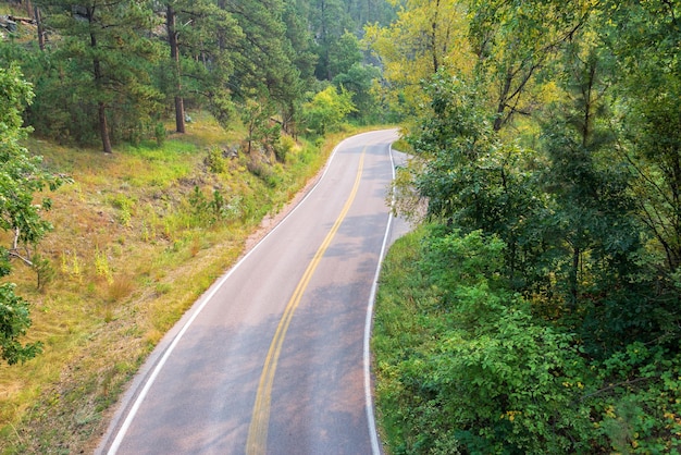 Photo road amidst trees in forest