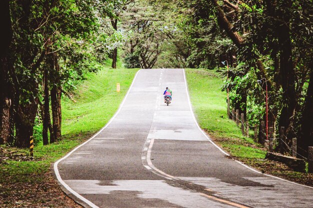 Road amidst trees in forest