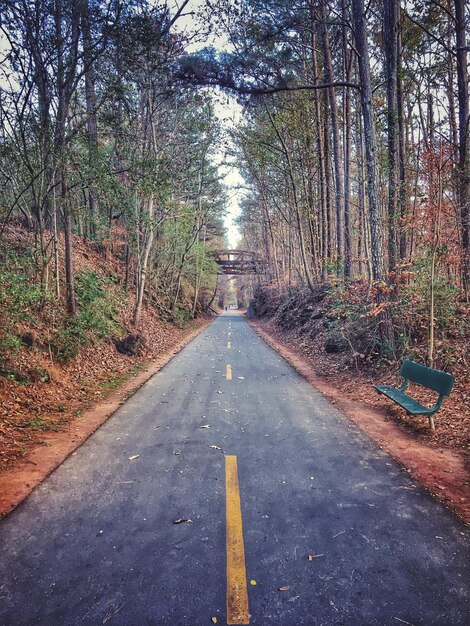 Photo road amidst trees in forest