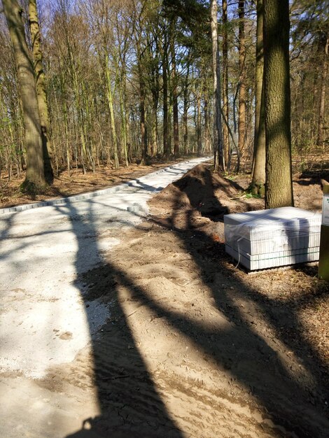 Foto strada in mezzo agli alberi della foresta