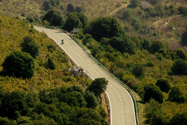 Foto strada in mezzo agli alberi nel paesaggio