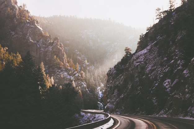 Photo road amidst trees on mountain in forest against sky