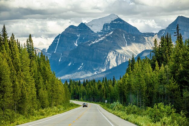 Road amidst trees and mountains against sky - icefield parkway canada