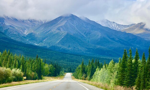 Foto strada tra alberi e montagne contro il cielo