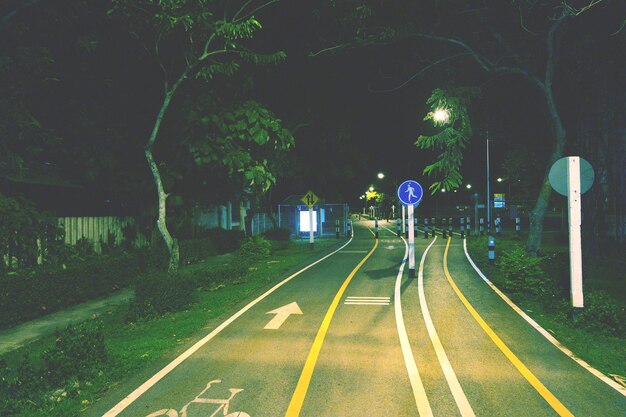Foto la strada in mezzo agli alberi di notte
