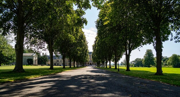 Photo road amidst trees in park