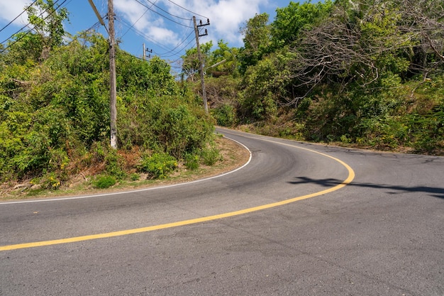 Photo road amidst trees and plants