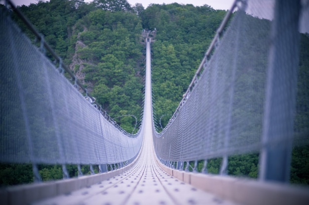 Photo road amidst trees seen through bridge