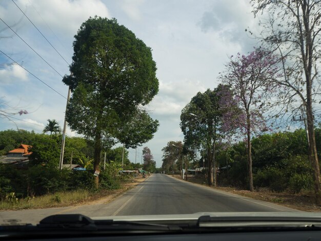 Road amidst trees seen through car windshield