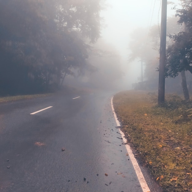 Foto la strada in mezzo agli alberi