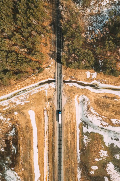 Foto la strada in mezzo agli alberi