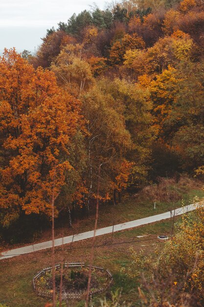 road in autumn city public park copy space