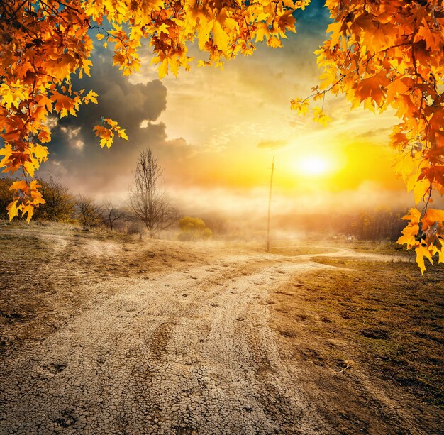 道路と秋のフィールド