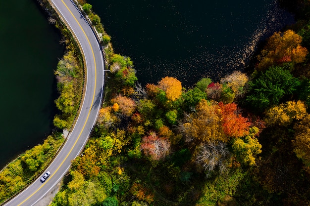 Road in the autumn forest aerial view with lake