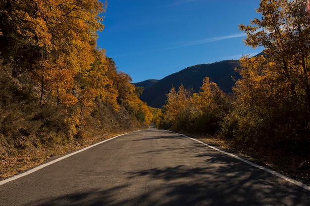 road in autumn forest in the mountain