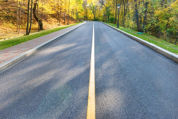 Road and autumn landscape with forest in park