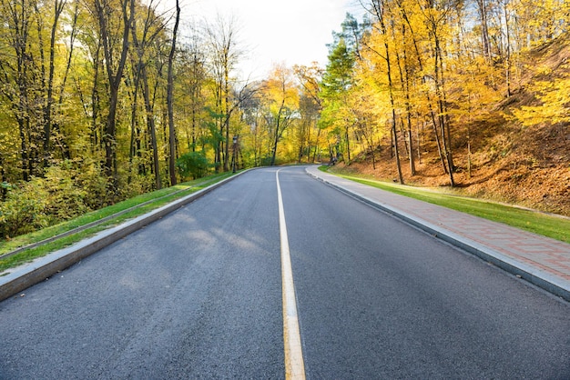 Road and autumn landscape with forest in park