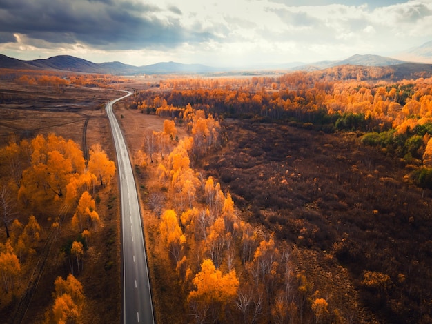 秋の山の道 丘の夕日の黄色い木々 空撮