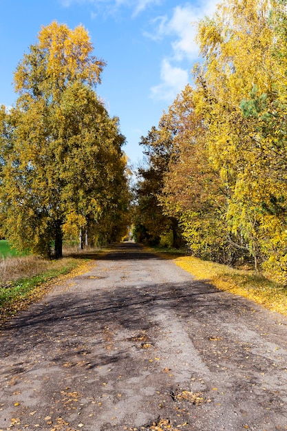 Дорога в осенний сезон