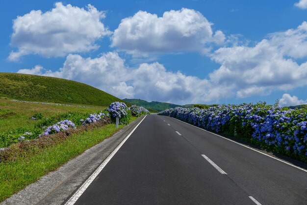 Photo road in azores