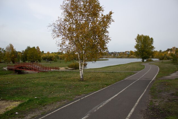 湖の近くの公園の美しい背景への道。