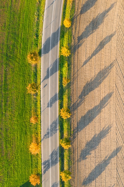 Фото Дорога между зеленым полем и обрабатываемой землей с желтыми деревьями на заходе солнца в осени. вид с воздуха на пустой асфальтовой дороге или деревья аллея.