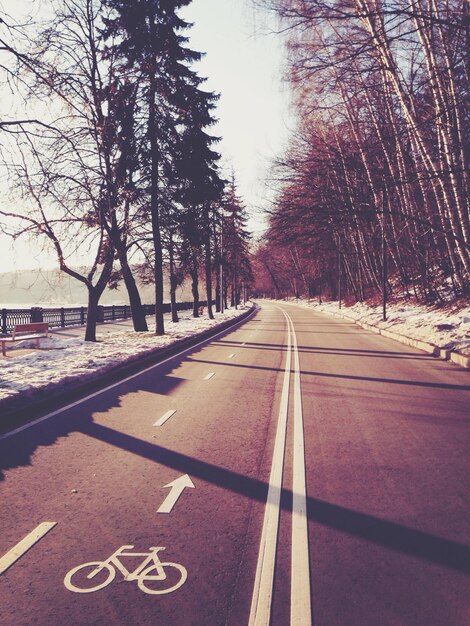 Photo road and bicycle path in winter