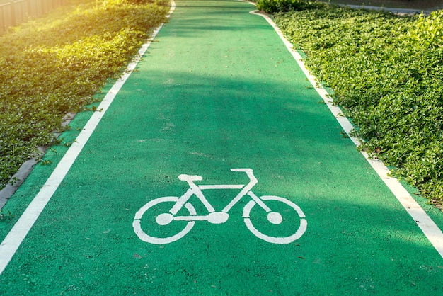 Road for the bicycle