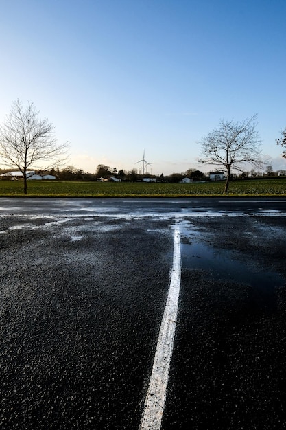 Photo road by bare trees against clear sky