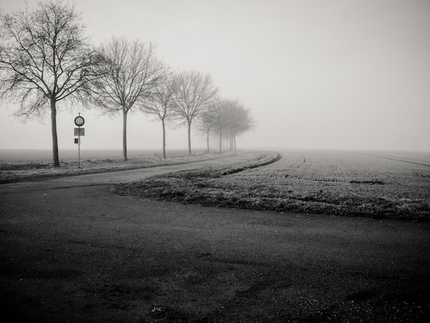 Photo road by bare trees on field against sky