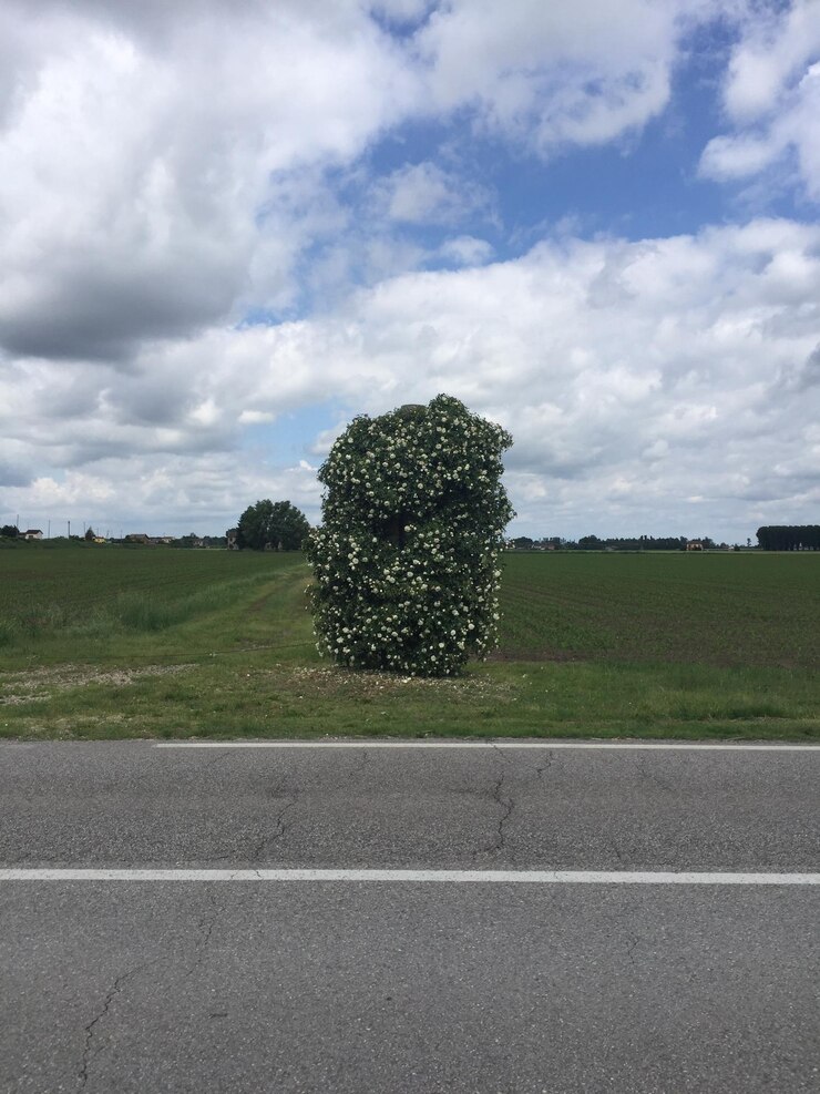 Photo road by grassy field against cloudy sky