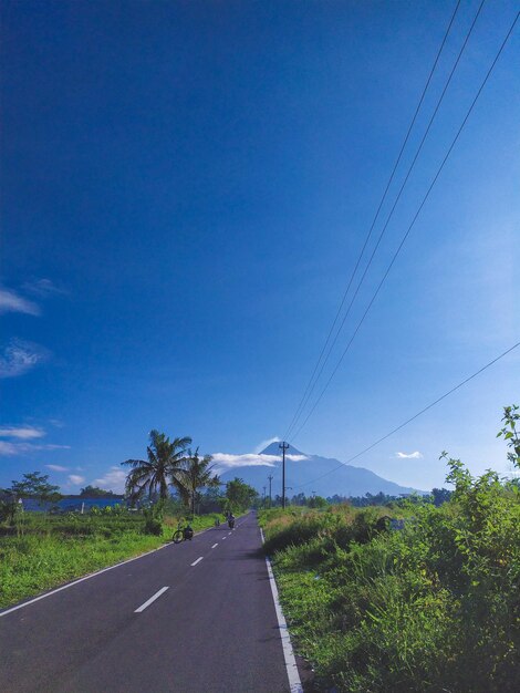 Road by plants against blue sky