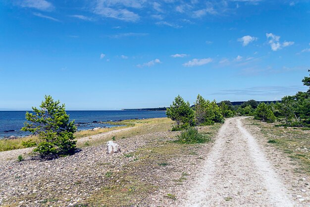 Road by sea against blue sky