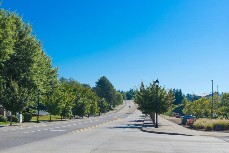 Photo road by trees against blue sky