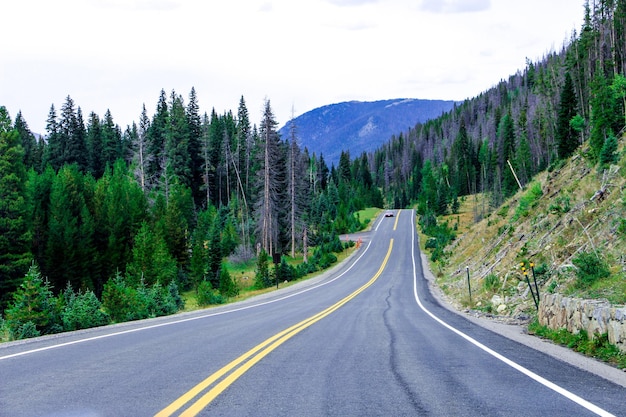 Photo road by trees against mountain