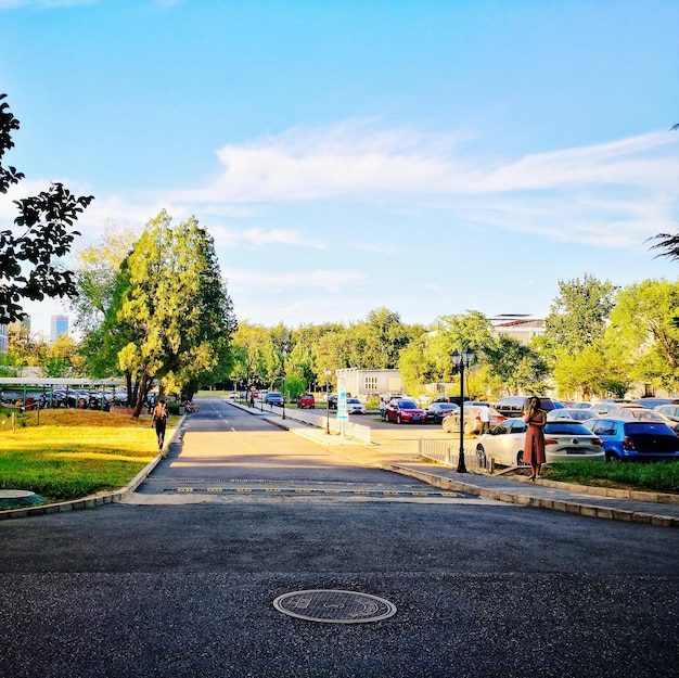 Road by trees against sky in city