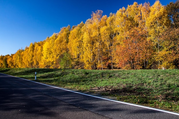 Road by trees against sky during autumn