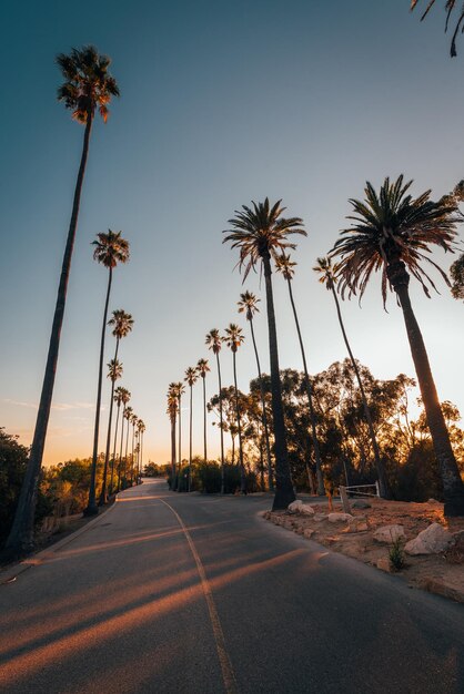 Photo road by trees against sky during sunset