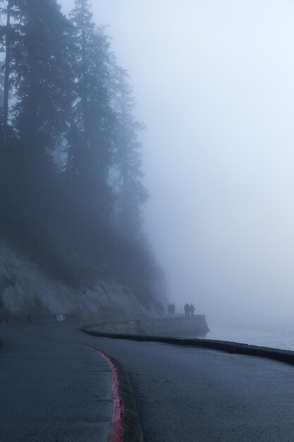 Photo road by trees against sky during winter