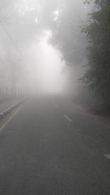 Photo road by trees against sky during winter