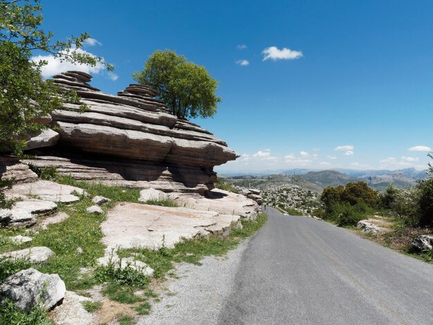 Foto strada tra gli alberi contro il cielo