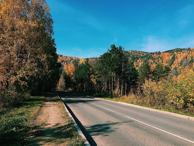 Photo road by trees against sky