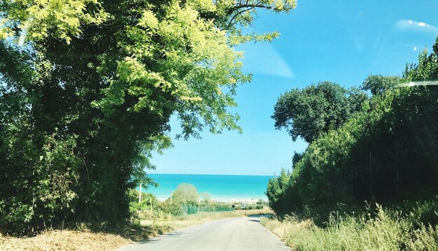 Foto strada tra gli alberi contro il cielo