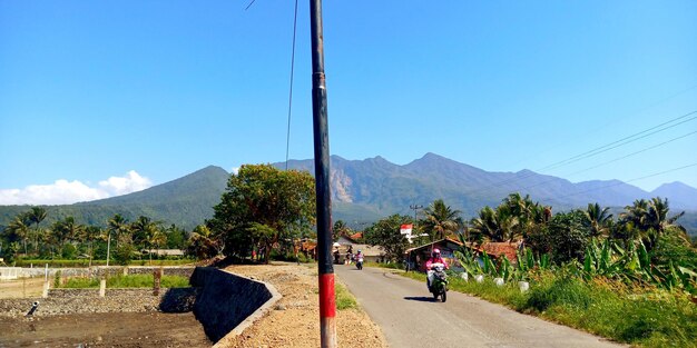 写真 青い空に照らされた木と山の道