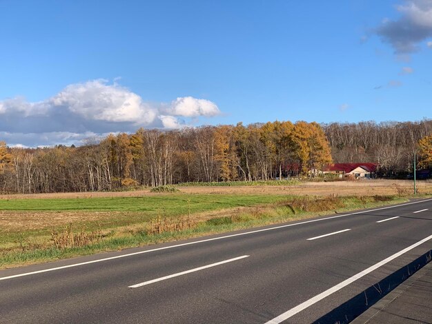 Foto strada tra gli alberi sul campo contro il cielo