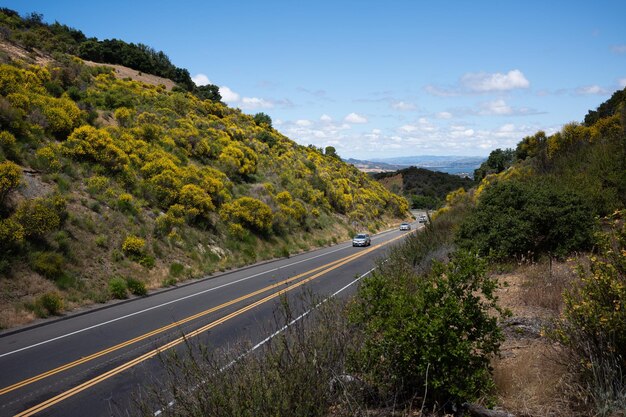 Road by trees on mountain against sky