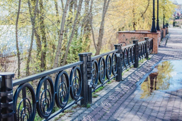 Дорога в городской парк