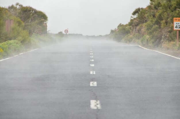 Road on Cloudy Day in El Teide National Park