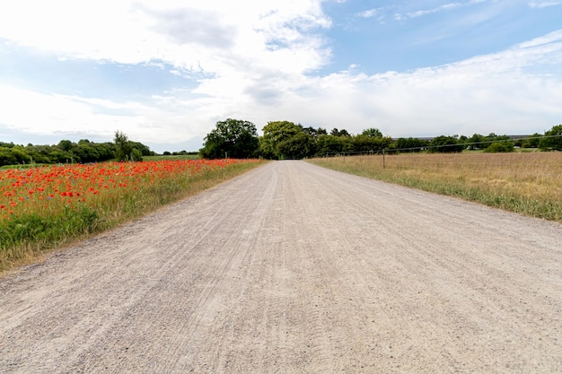 Photo road in the countryside and cloudy sky on a summer day