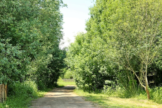 Road in the countryside